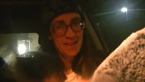 i am not meant to be part of this, i am meant to explain it