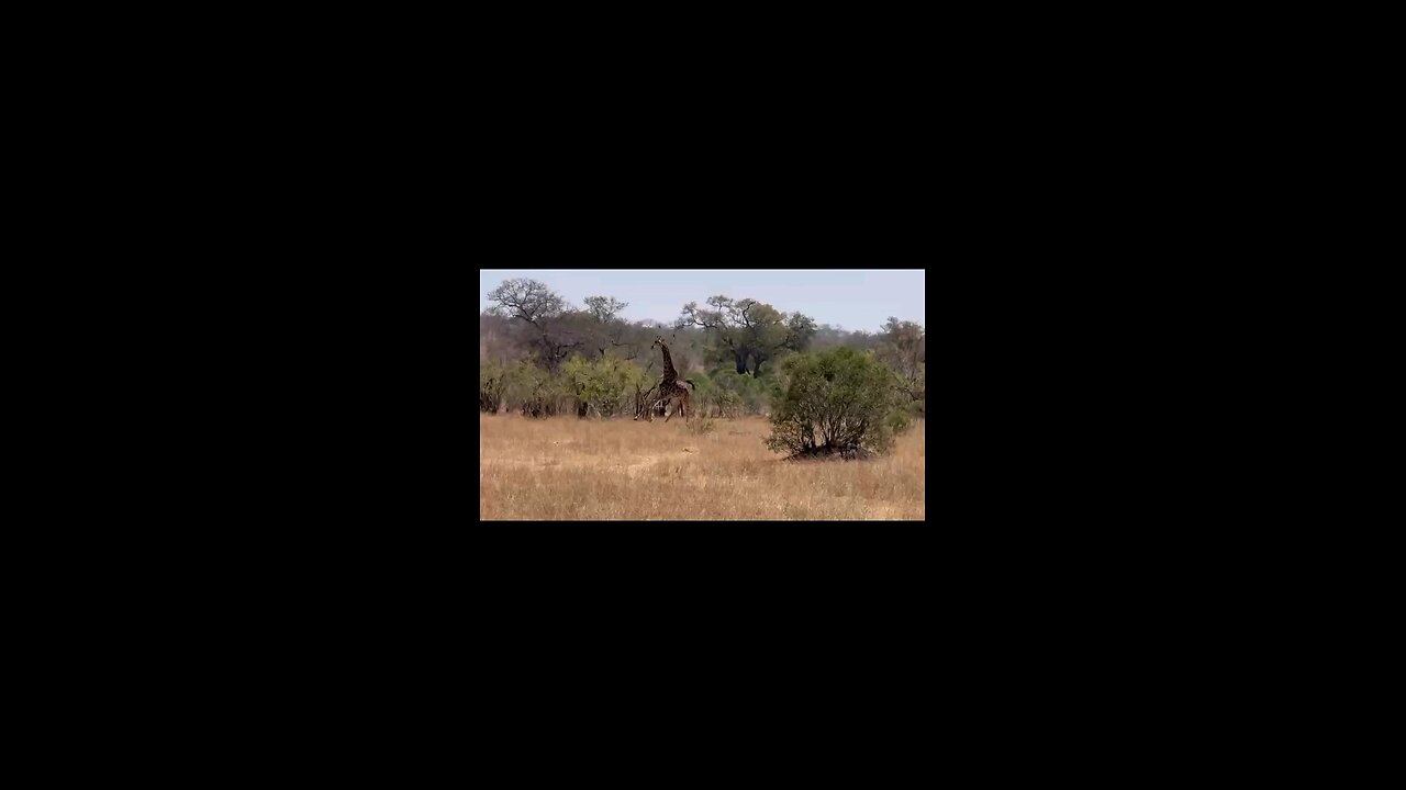 mbkbobo