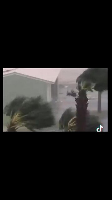 🌪️ HURRICANE MELISSA - Meanwhile, in Jamaica 🌪️