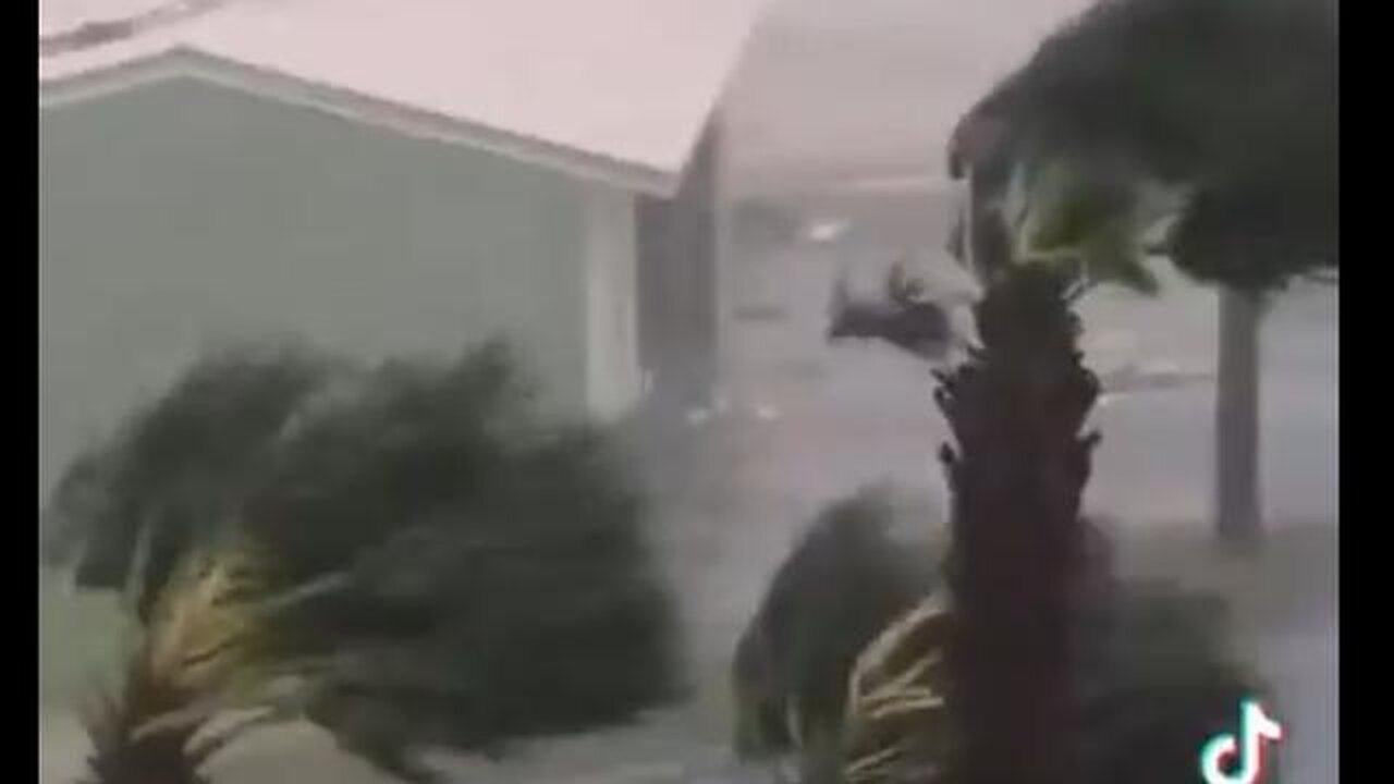 🌪️ HURRICANE MELISSA - Meanwhile, in Jamaica 🌪️