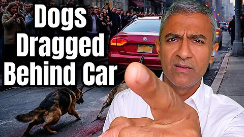 Horror in Queens as Man Allegedly Drags Two Dogs Behind Moving Car