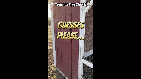 🥚 Today’s Egg Check! 🥚