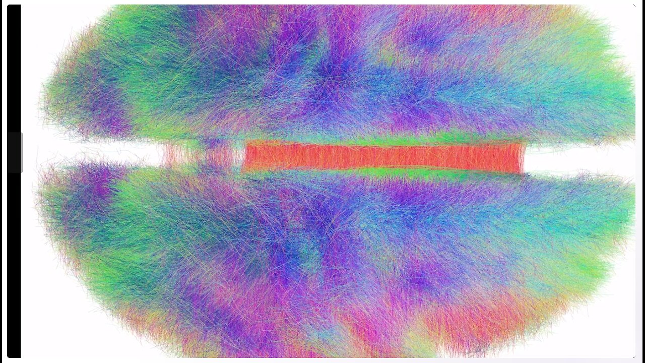 Largest Brain Map Ever Made Showing Every Neuron and Connection