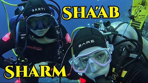 Sha'ab Sharm | Egypt | Marsa Alam