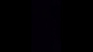 Secret Agent SBD whistled