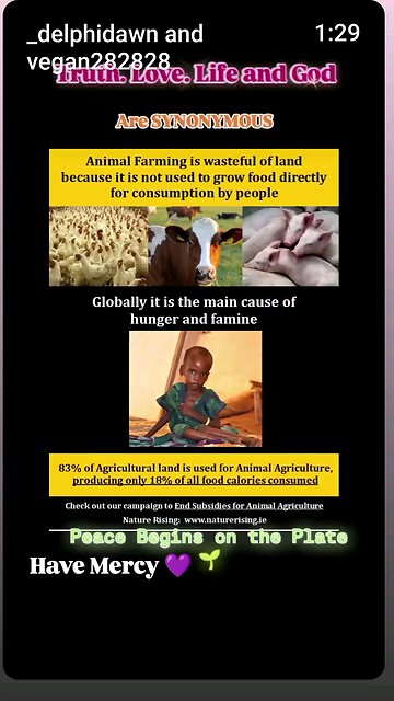 Peace Begins On The Plate. 🎄🎁🌱❤️