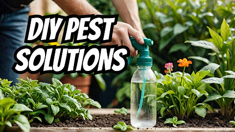 DIY Organic Pest Control Solutions You Need to Try