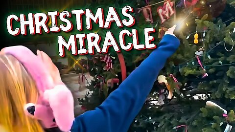 A Christmas Miracle Caught on Camera: Chimney Rock Families Find Hope Amidst Tragedy- Travis Johnson