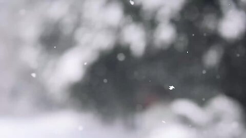 Prices are Frozen 🧊 Products are Hot 🔥