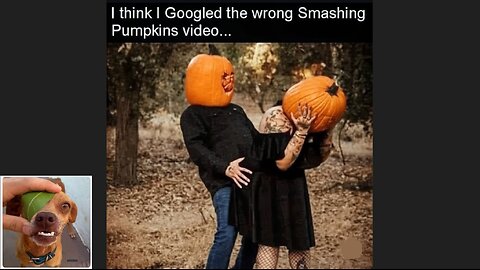 Memes That Will 99.0383% Make You Laugh. (e607)