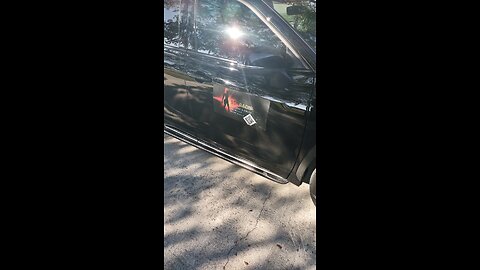 Woman Bussed Down By Cane Corso 🧏‍♀️🐕‍🦺👀