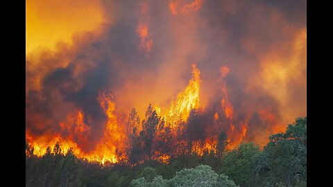 wild fire in Los Angeles news