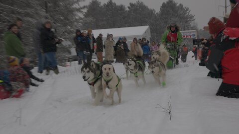 Jack Pine 30 Sled Dog Race Kicks Off in Gwinn, Michigan