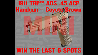 1911 TRP™ AOS .45 ACP Handgun MINI #4 FOR THE LAST 6 SPOTS IN THE MAIN WEBINAR