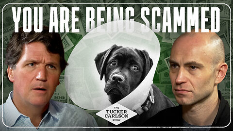 The Private Equity Veterinary Scam Making You Poorer and Killing Your Pets