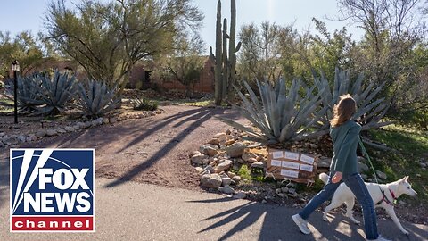 Harris Faulkner gives special insight into Nancy Guthrie's neighborhood