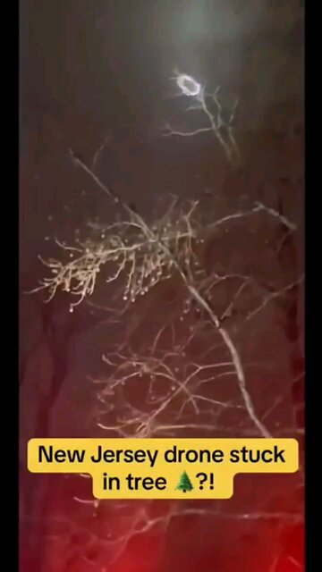 NJ ufo drone crashes in tree👀🤔🤯