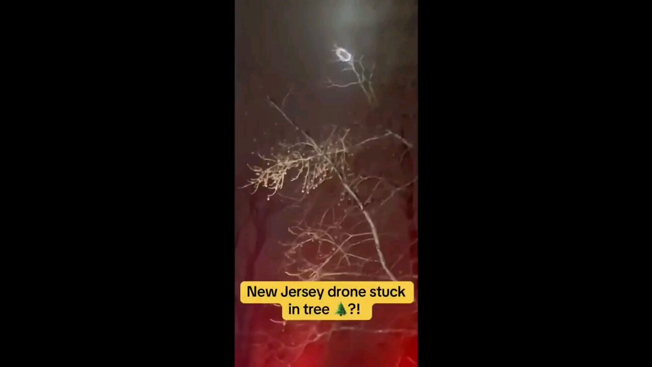 NJ ufo drone crashes in tree👀🤔🤯