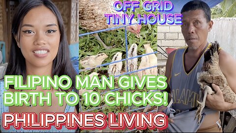 🇵🇭 FILIPINO MAN BIRTHS TEN BABY CHICKS! TINY HOUSE UPDATE Off Grid Island Family Living Philippines