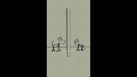 animation ... animals