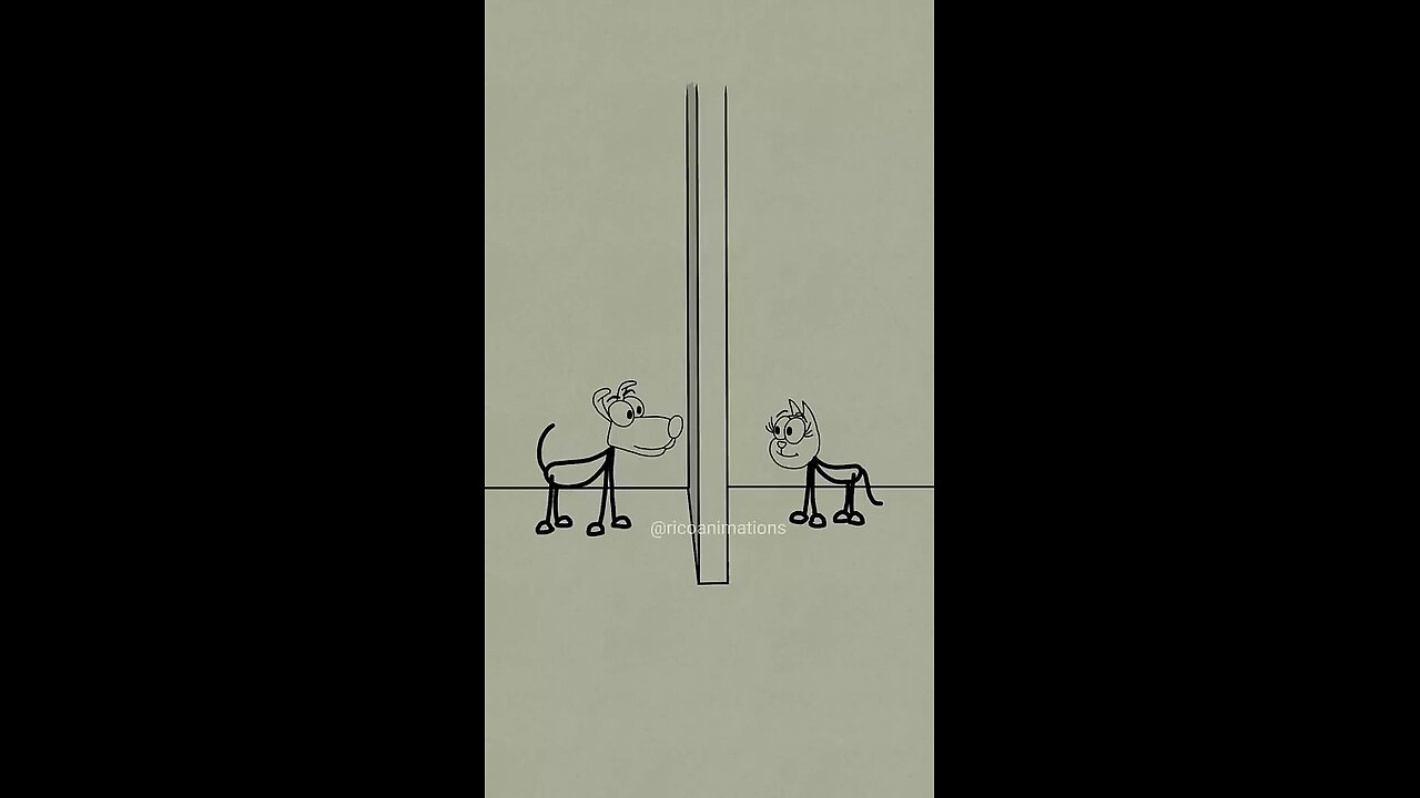 animation ... animals