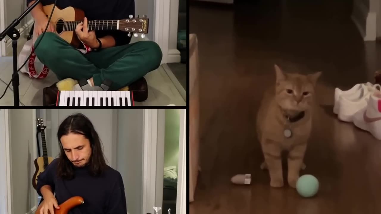 I go Meow