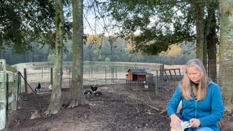 Morning Prayer, Daily Office