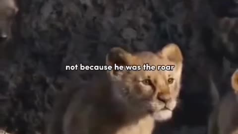 LION KING
