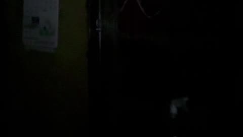 Earthquake in Cebu, Philippines