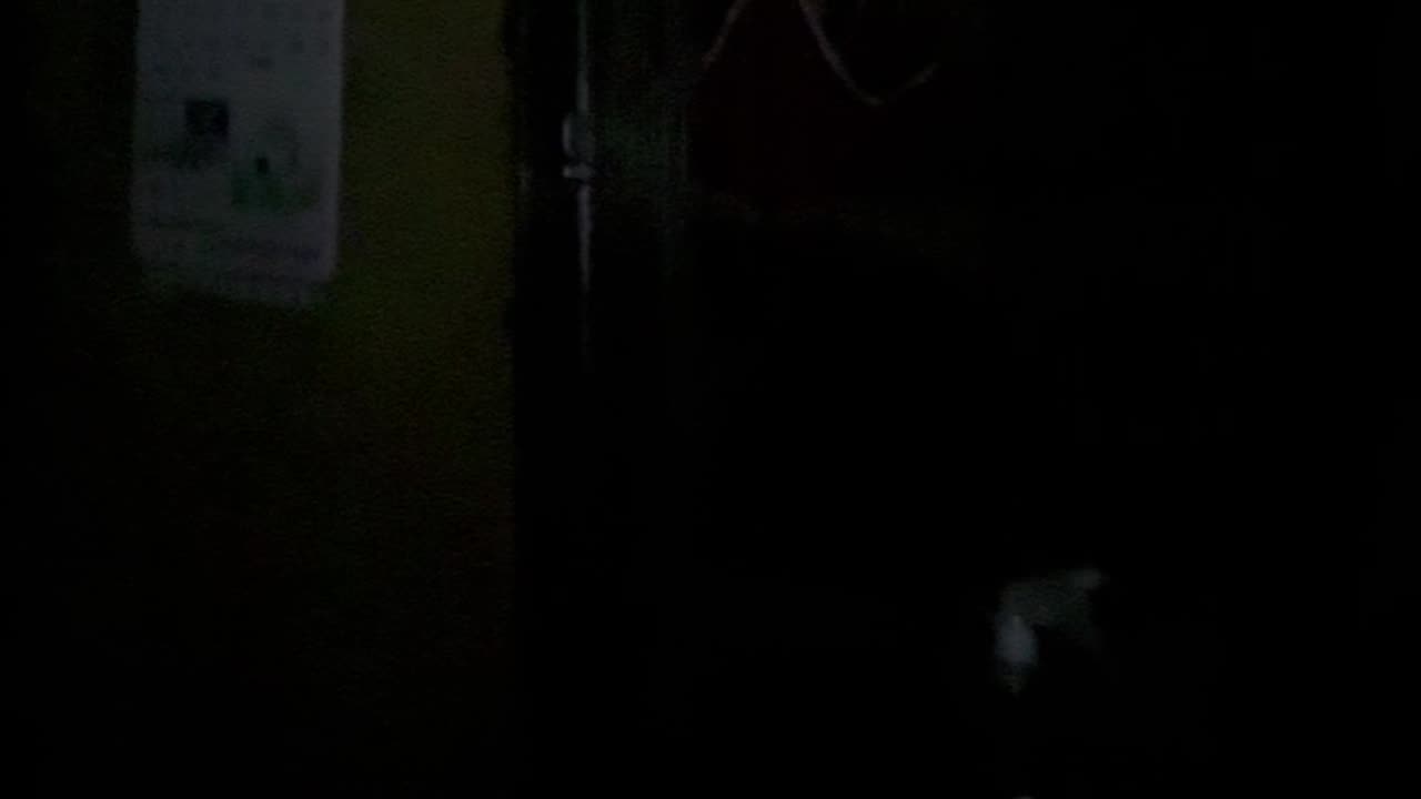 Earthquake in Cebu, Philippines