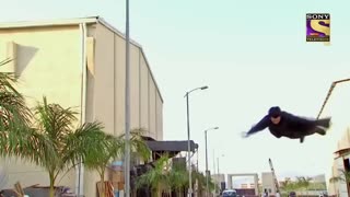 😂🦇 Batman Thought He Could Outsmart an Indian?! Wait For It... | FunFM