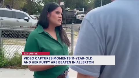 Gang of blacks attack White 11 year old girl 