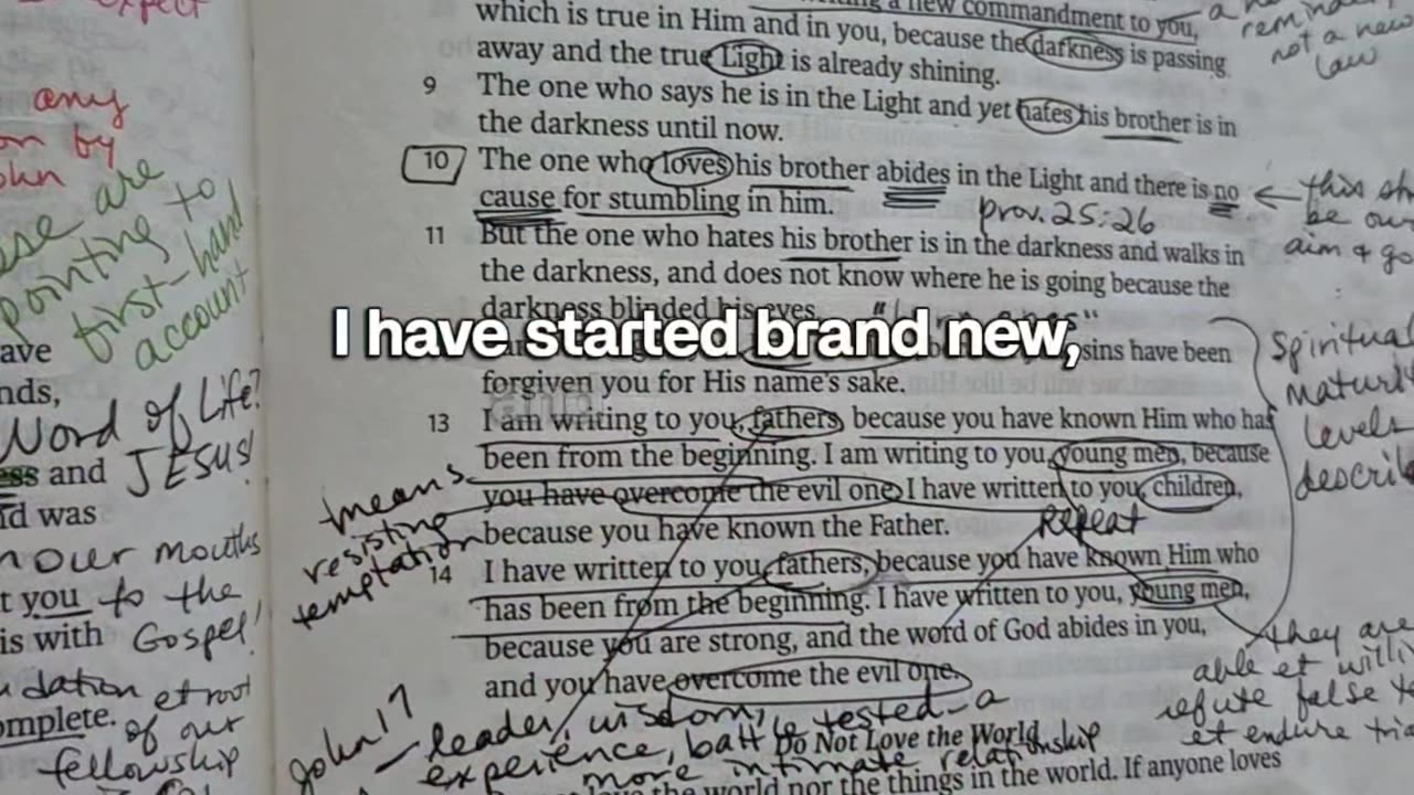 Look for these 3 things next time you study your Bible 📖