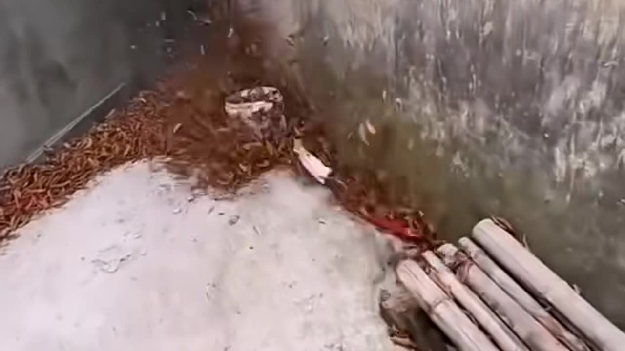 The Most Satisfying Machine Operations! | FeedMyCuriosity