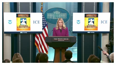 [MAGA] Trump's Press Secretary Karoline Leavitt Explains ICE Arrest