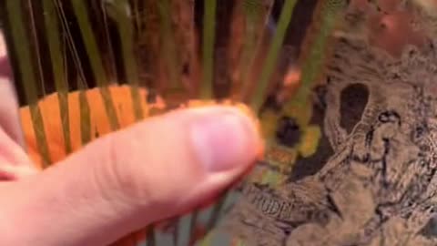 V15 Compra Billetes de oro!