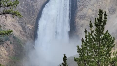 Red Rock Trail view of Lower Falls in Yellowstone National Park