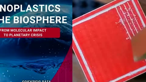 While We Fight Each Other, Nature Fights Back