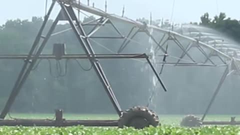 BANNED in 70 countries. Paraquat is a deadly chem sprayed on 100+ fruits/veggies