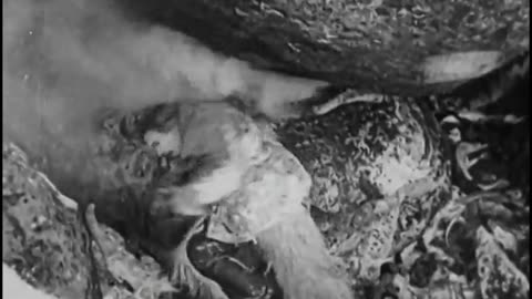 The Squaw Man (1914) Full Movie | HD