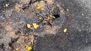 WHEN ELECTRICITY MEETS ASPHALT!