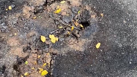 WHEN ELECTRICITY MEETS ASPHALT!