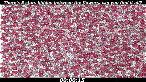 Hidden stars puzzle: There's 5 stars hidden between the flowers, can you find it all?