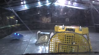 Extreme Robots Gloucester 2025: Destruct-A-Bubble Vs Raphael Vs Double Backflip Vs PO4 Vs Hunterbird