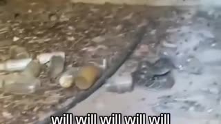 😂🤣 That Sound Means They're Just Happy to See You! | FunFM