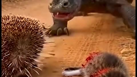 Kitten saved by spike-ball