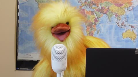 Henrietta Appeals Directly To The Canadian Government To Save Ostriches... 