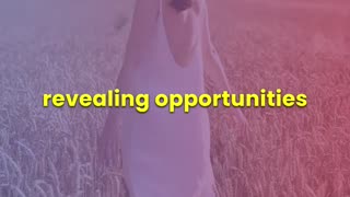 The Power of Uncertainty