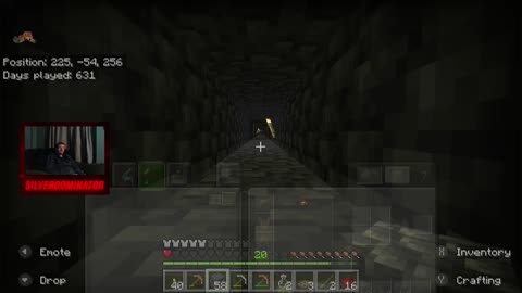 Mining for gold and diamonds in Minecraft! W/SilverDominator