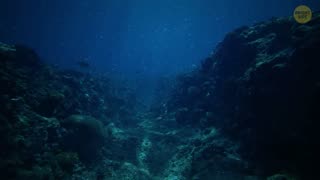 Scientists Discovered Mysterious Holes in Lake Michigan.